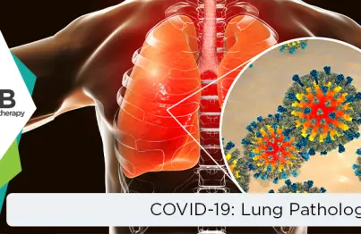 Covid-19 And Related Lung Pathology